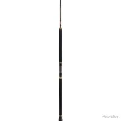 Canne Penn Regiment II Popping - 2,70 M / 60 - 120 G 11 Canne Penn Regiment II Popping - 2,70 M / 60 - 120 G -Pêche Soldes 00035 Canne Penn Regiment II Popping 2 70 m 60 120 g