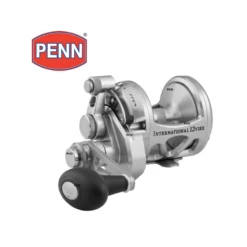 MOULINET PENN INTERNATIONAL 20 VISX SILVER