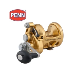 MOULINET PENN INTERNATIONAL 30 VISX GOLD
