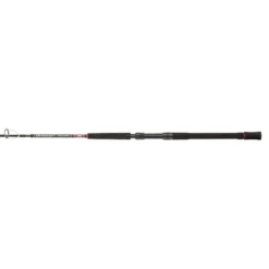 PENN Canne Jigging Overseas XT