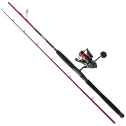 PENN Combo Pêche De Fond Fierce IV Boat