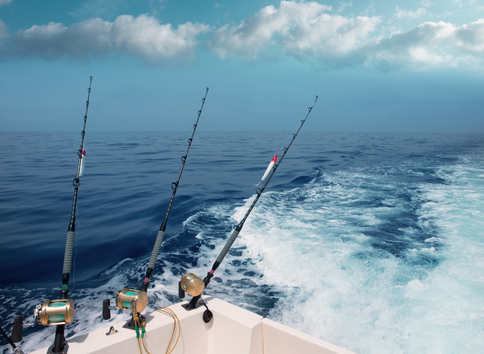 Pêche Soldes -Pêche Soldes R